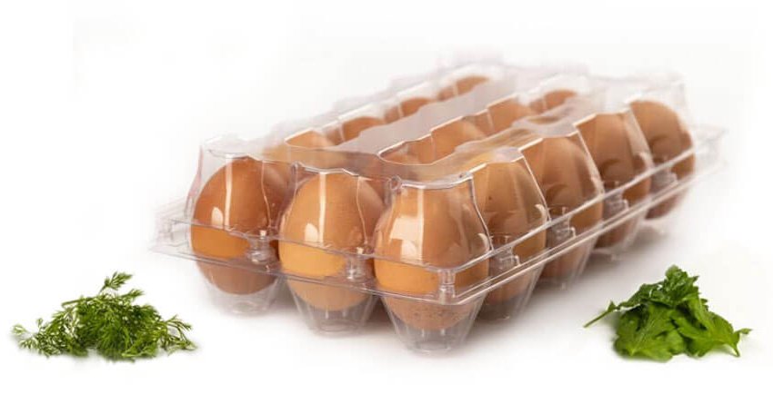 egg-cake-containers